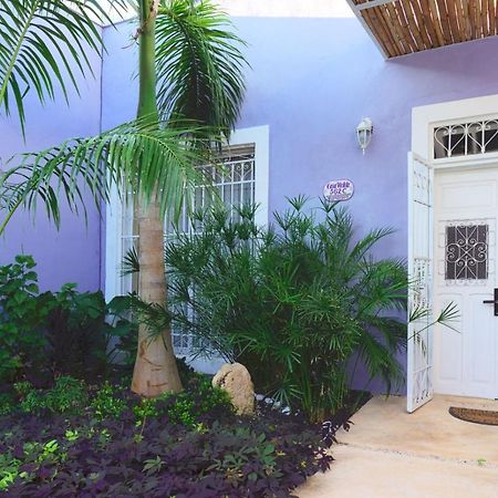 Casa Violeta Villa Merida Bagian luar foto