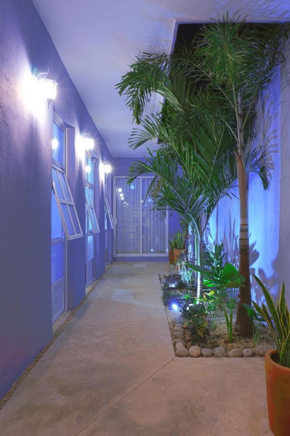 Casa Violeta Villa Merida Bagian luar foto